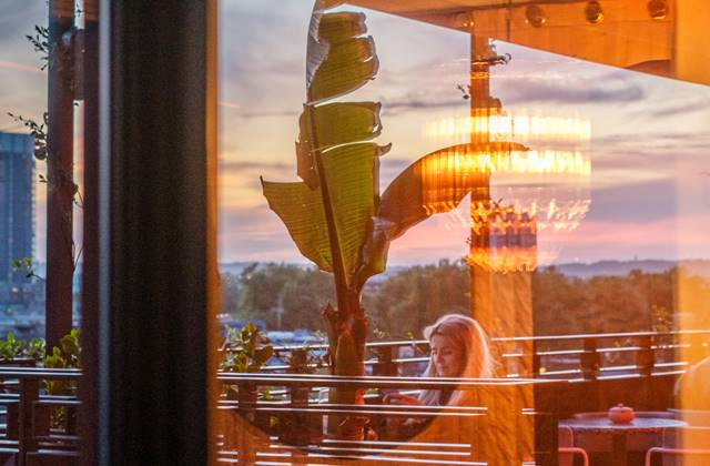 A woman sits on a London terrace at sunset, seen through a window, with a large plant and chandelier reflecting warm light.