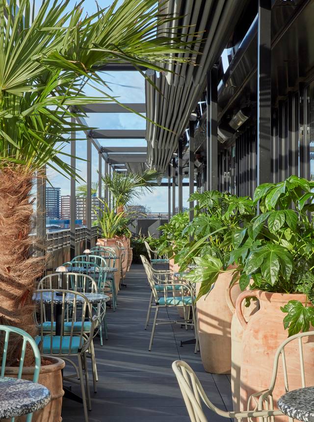 Bright, plant-filled rooftop restaurant in London at One Hundred Shoreditch with set tables and a stylish bar area.